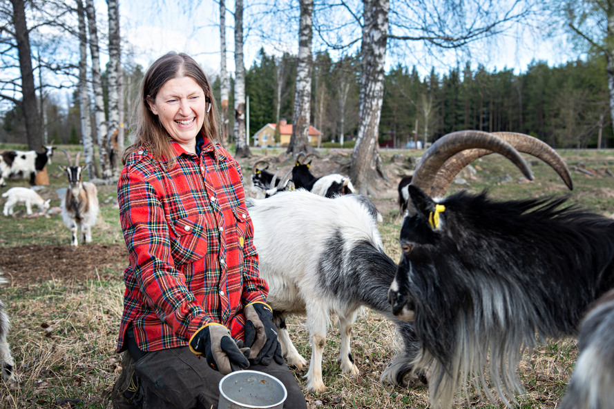 Maria Brook driver gården Lars Pers i Fors där hon har getter, höns, påfåglar, hästar, hund och katt, bin och, så klart, 50-talet getter.